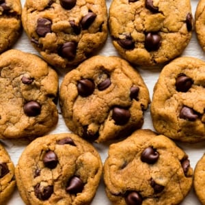 pumpkin chocolate chip cookies