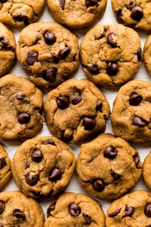 pumpkin chocolate chip cookies