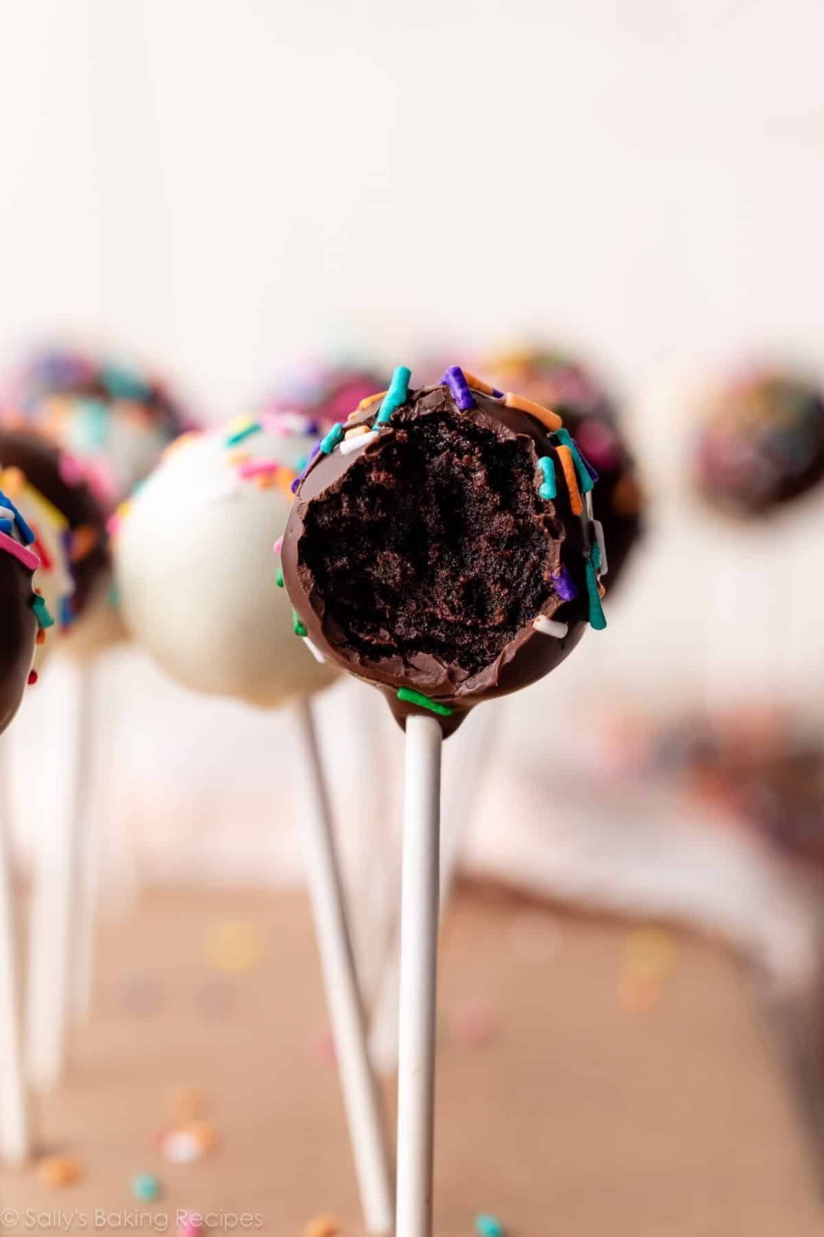 chocolate cake pop with rainbow sprinkles.