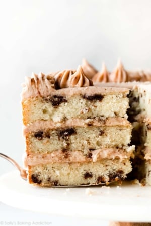 slice of snickerdoodle cake on a cake server