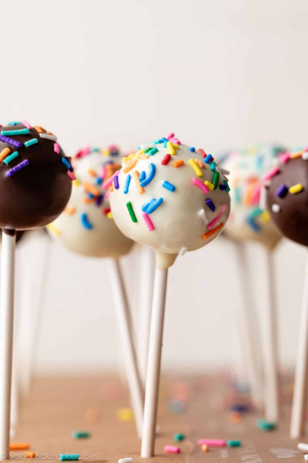 vanilla and chocolate cake pops with rainbow sprinkles.