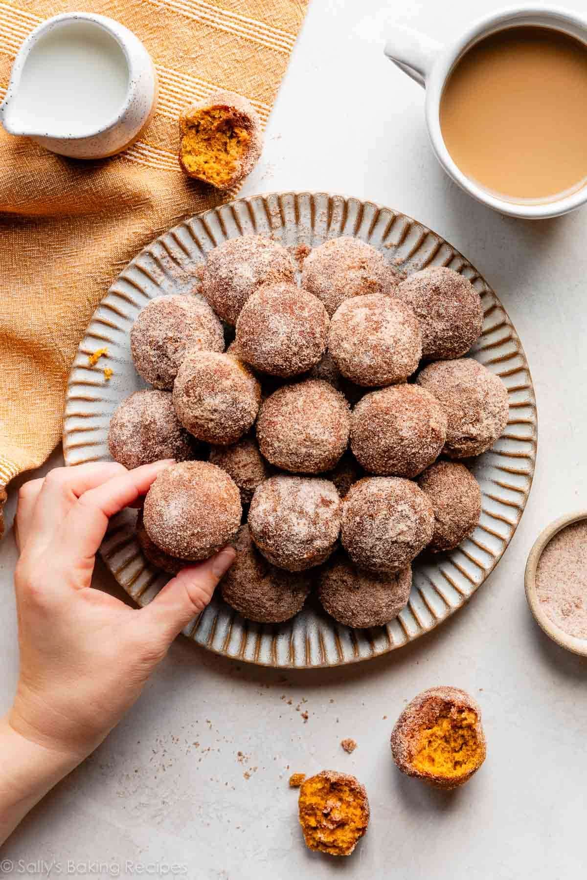 mini cinnamon sugar pumpkin muffins on plate with hand grabbing one.