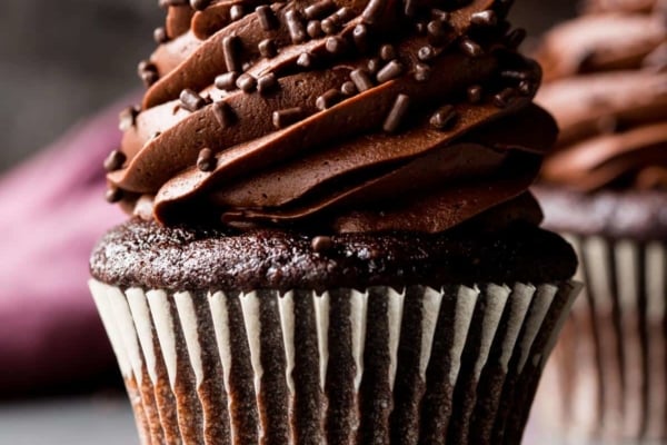 chocolate cupcake with chocolate buttercream and chocolate sprinkles