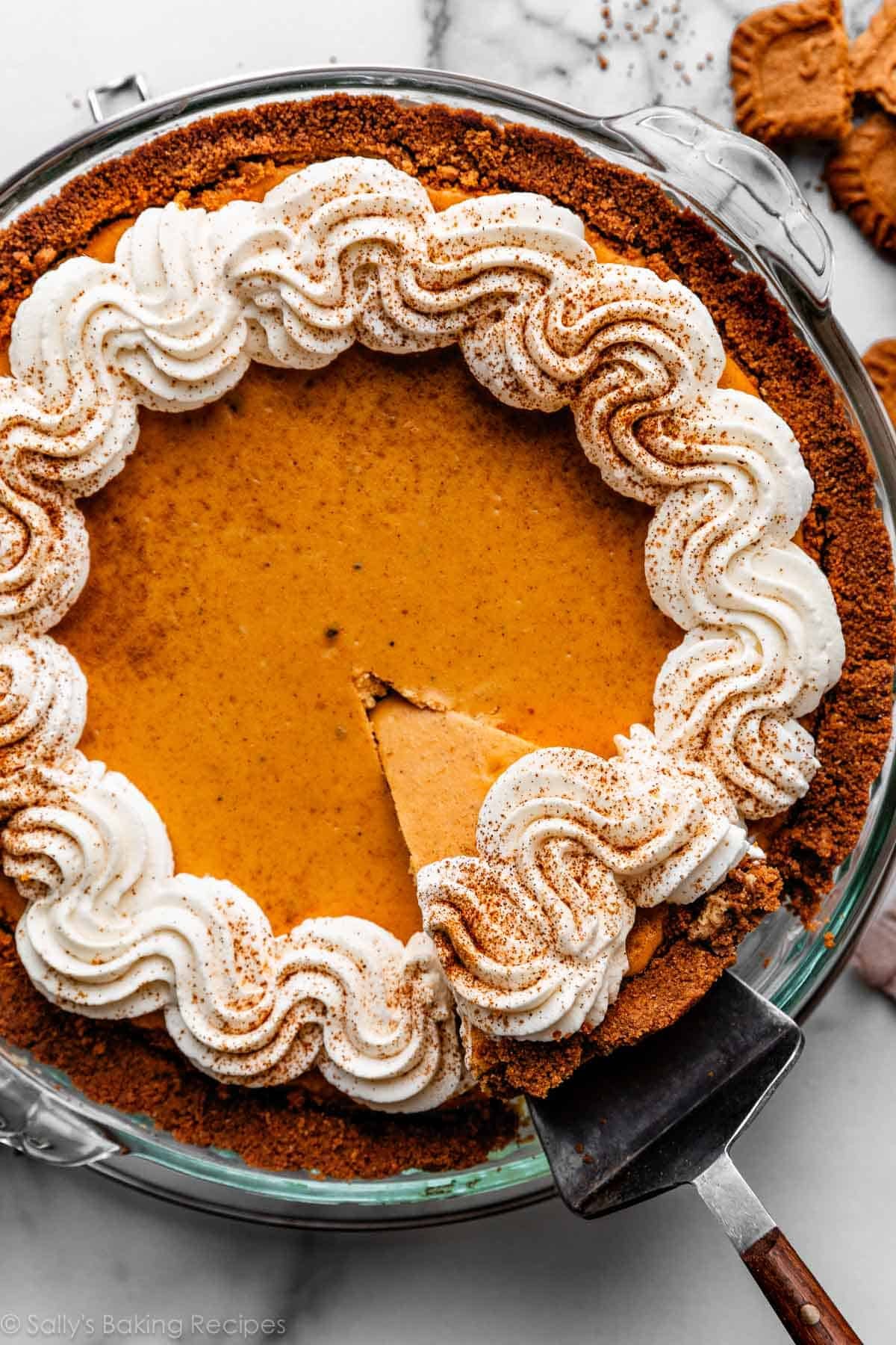 pumpkin cheesecake pie with whipped cream on top and slice being taken out.