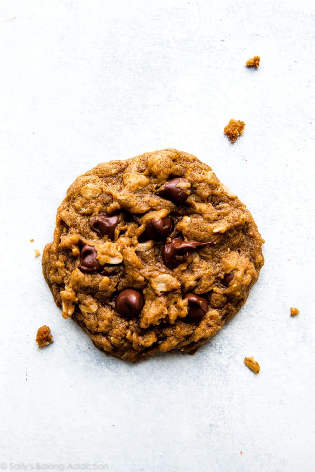 pumpkin oatmeal chocolate chip cookie