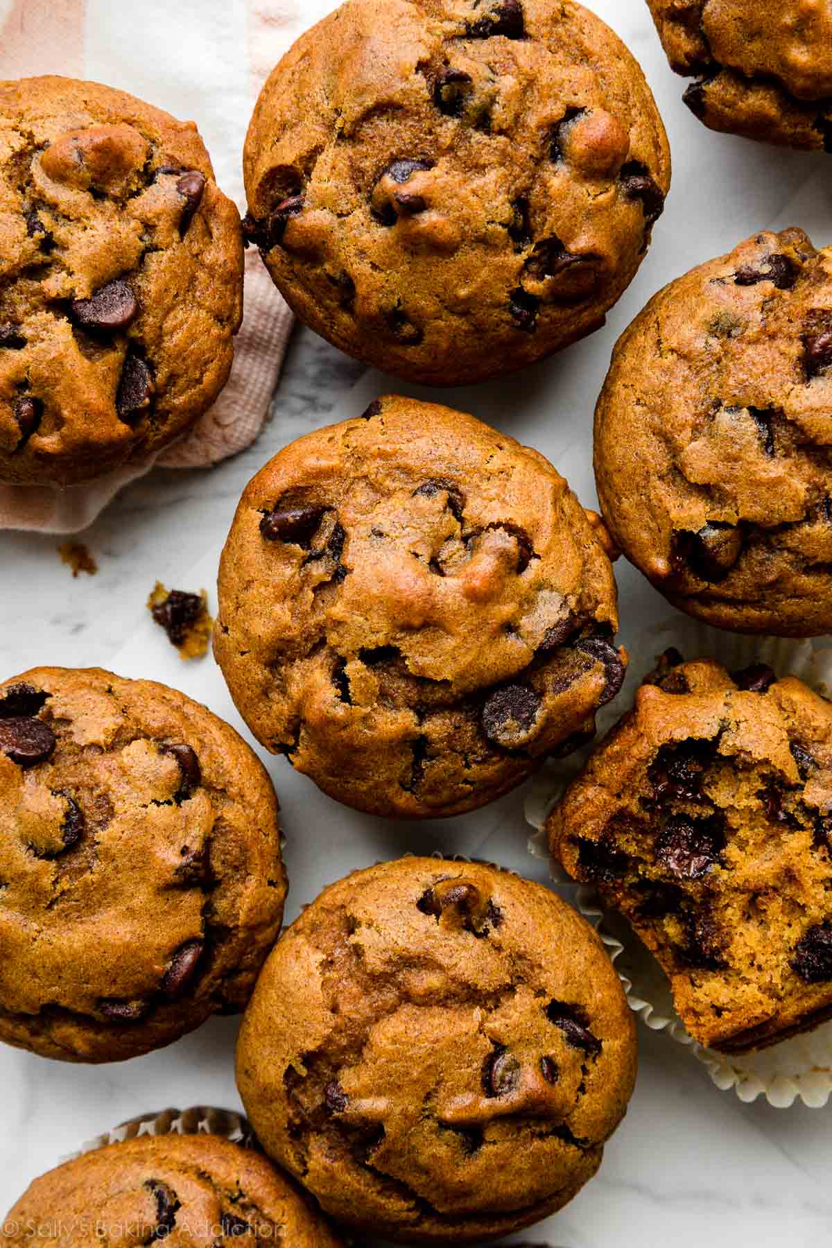 8 pumpkin chocolate chip muffins on marble countertop.