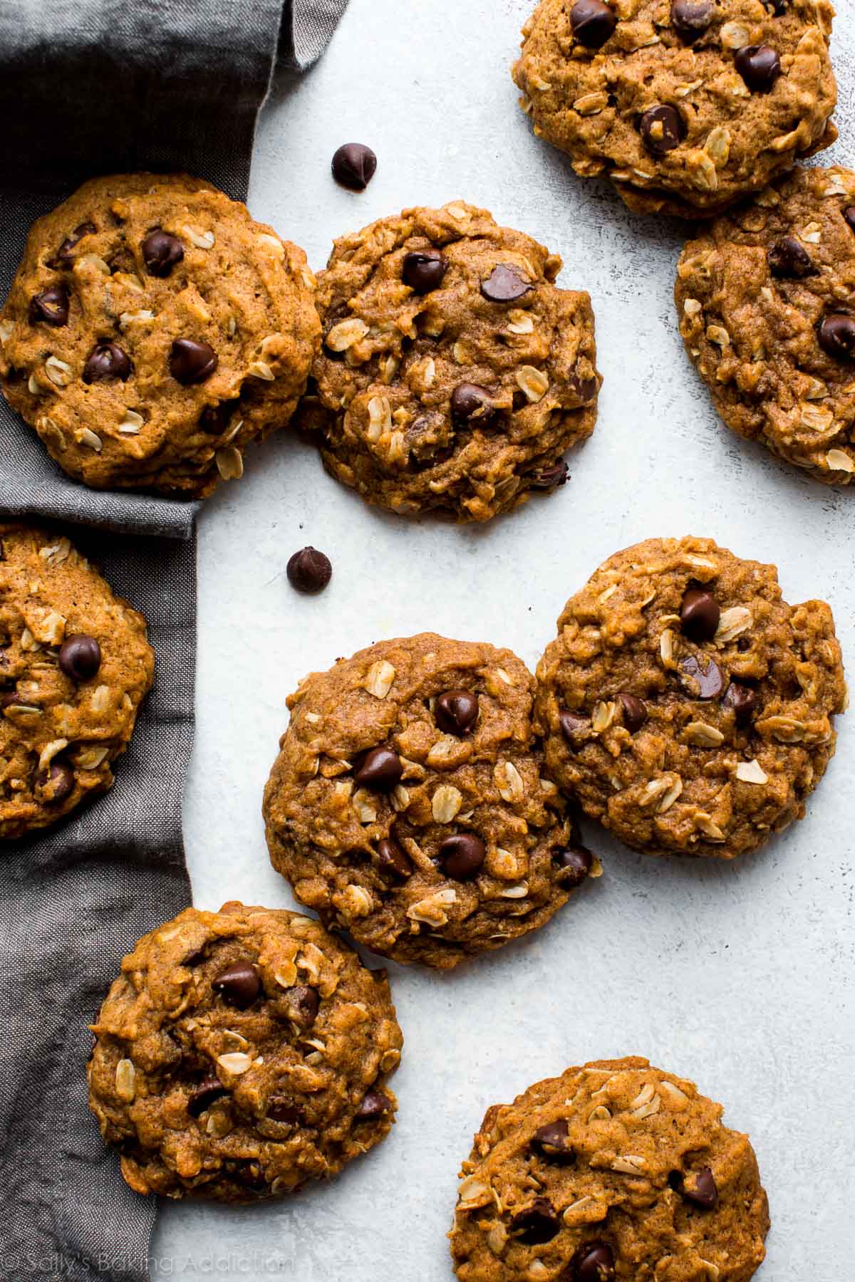 pumpkin oatmeal chocolate chip cookies