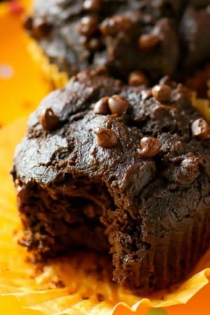 chocolate pumpkin spice muffins