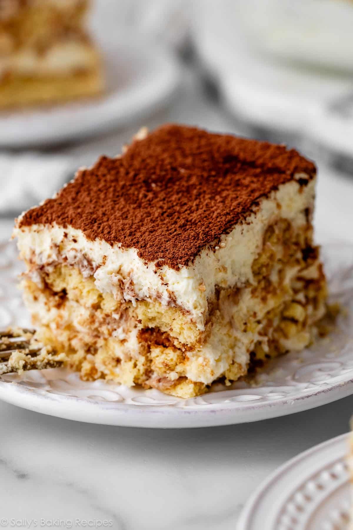 tiramisu slice.