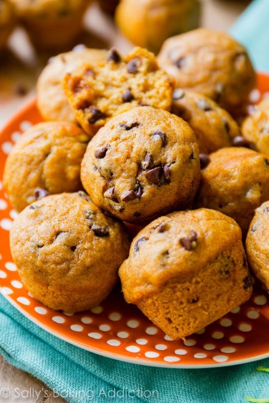 mini pumpkin chocolate chip muffins on an orange and white plate